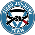 Viggo Jiujitsu Team